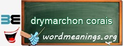 WordMeaning blackboard for drymarchon corais